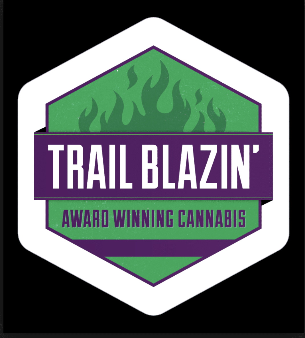 Trail Blazin' Productions Brand Logo